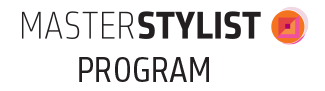 master-stylist-logo